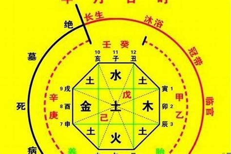 丙火喜忌|十天干與十二地支喜忌——丙火篇